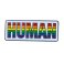 Lapel Pin Rainbow HUMAN