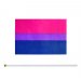 10pk Hand Bisexual Flags 8.5" by 5.5"