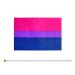 10pk Hand Bisexual Flags 8.5" by 5.5"