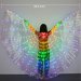 Rainbow LED Butterfly Wings