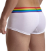 JOCKMAIL Rainbow Pride Trunks