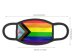 Progress Pride Rainbow Face Mask - Limited Quantity Available NOW SHIPPING