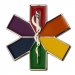 Rainbow Star of Life Nursing Ambulance Pin