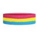 Pansexual Head Sweatband