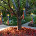 Outdoor Rainbow Windsock – Pride Edition