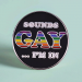 PrideOutlet's "Sounds Gay... I'm In" Rainbow Lapel Pin