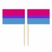 Mini Bisexual Flag Toothpick Flag 50pcs