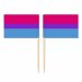 Mini Bisexual Flag Toothpick Flag 50pcs