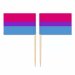 Mini Bisexual Flag Toothpick Flag 50pcs