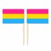 Mini Pansexual Flag Toothpick Flag 50pcs