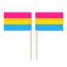 Mini Pansexual Flag Toothpick Flag 50pcs