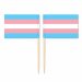 Mini Transgender Flag Toothpick Flag 50pcs
