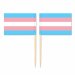 Mini Transgender Flag Toothpick Flag 50pcs