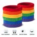 Rainbow Sweatband Wristband Pair