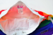 D.M Shorts - Retro Rainbow Trucks