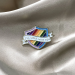 I'll Walk With You Pride Lapel Pin