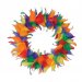 12" Rainbow Feather Wreath