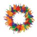 12" Rainbow Feather Wreath