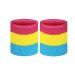 Pansexual Wristband Sweatband