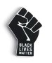 BLM Black Lives Matter Fist of Solidarity Lapel Pin in Black