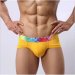 Rainbow Band Cotton Boxer Briefs Underwear