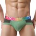 Rainbow Band Cotton Boxer Briefs Underwear