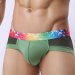 Rainbow Band Cotton Boxer Briefs Underwear