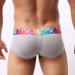 Rainbow Band Cotton Boxer Briefs Underwear