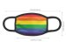 Rainbow Face Mask - Limited Quantity Available NOW SHIPPING